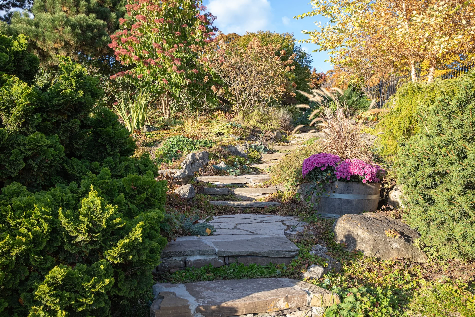 Terraced garden landscape with stone pathways, autumn foliage, purple flowering plants, and diverse mature plantings