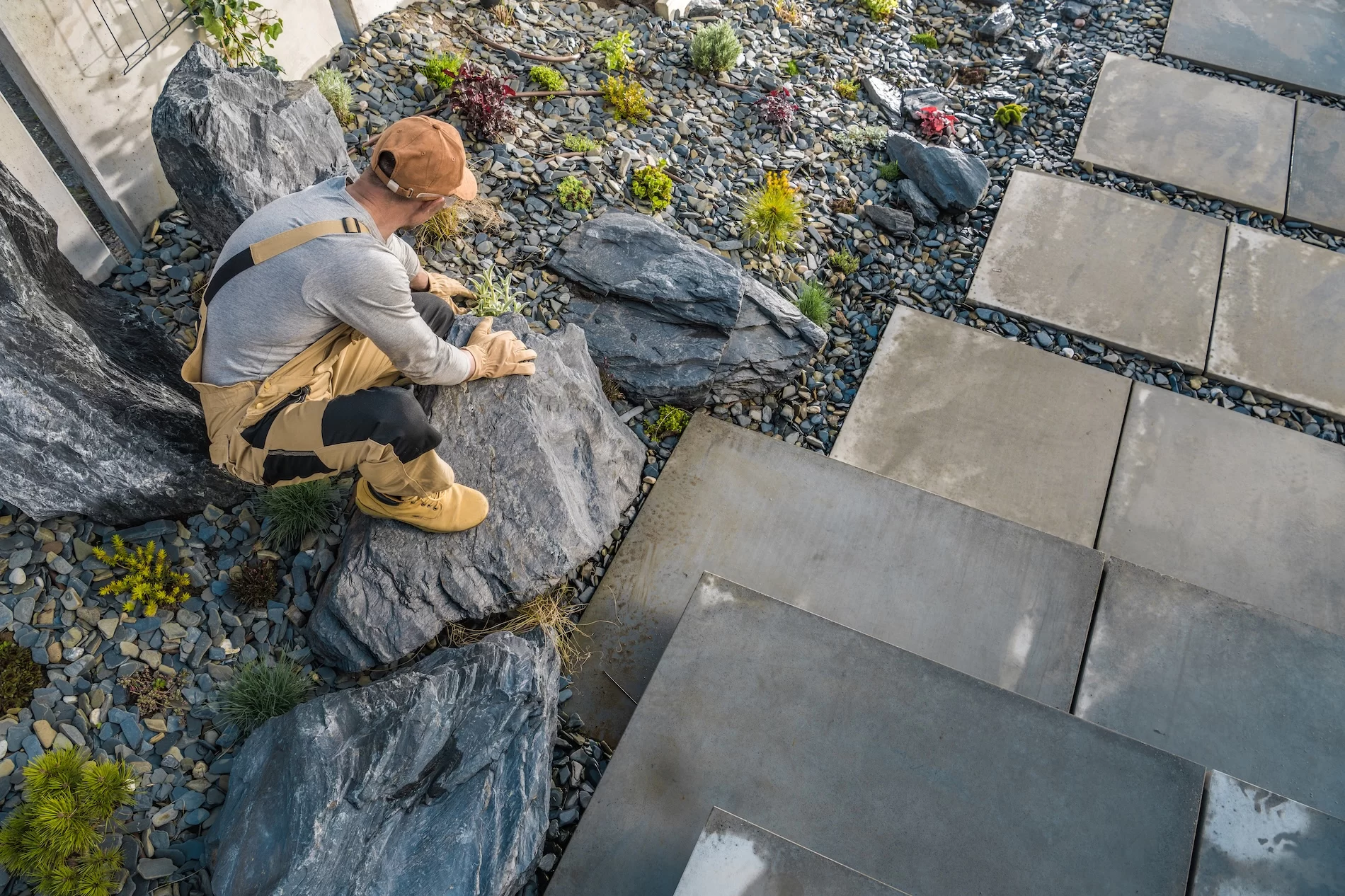 Landscaper installing plants in modern rock garden with concrete stepping stones and decorative pebbles