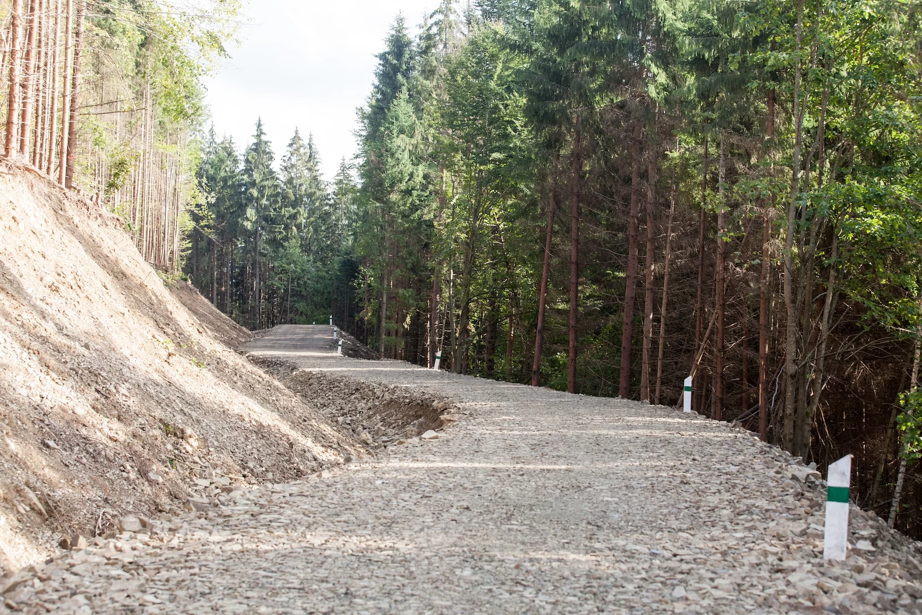 New gravel road construction winding through dense forest with earthwork and construction markers